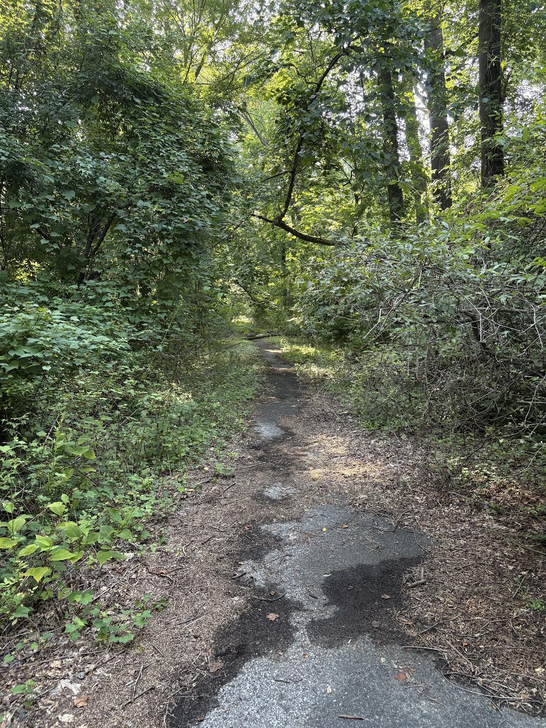 Old Road North