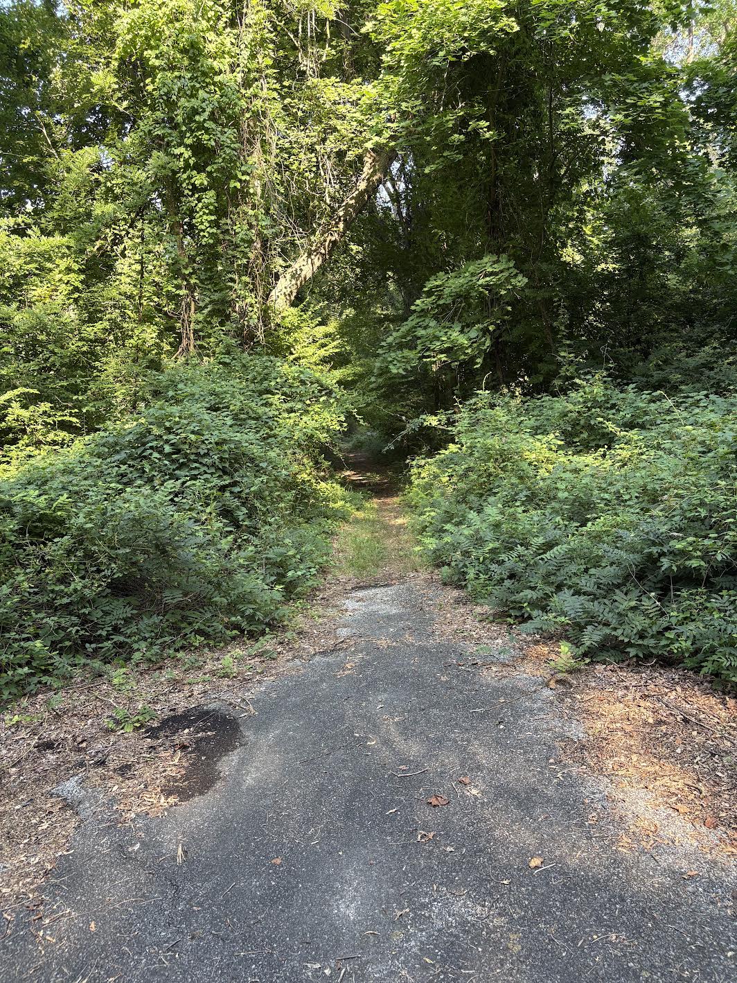 Old Road