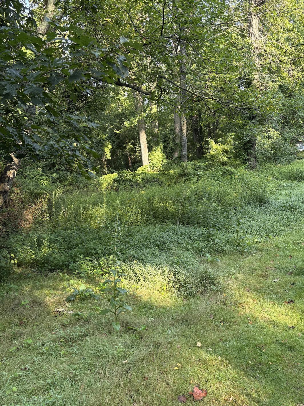 Trail End